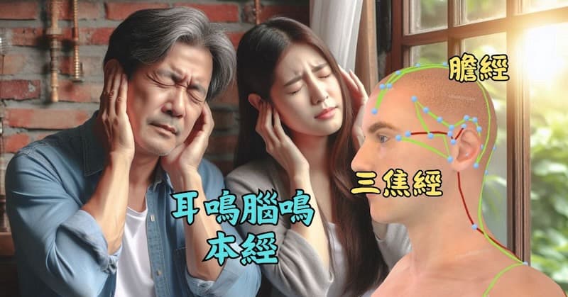 腦鳴、耳鳴是三焦經、膽經的本經病