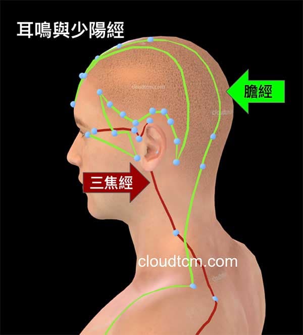 少陽經與耳鳴腦鳴密切相關