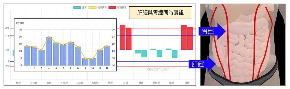 肝經與胃經實證，一年四季都會發生