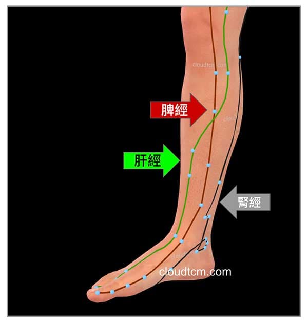 小腿內側的經絡可以改善婦女疾病