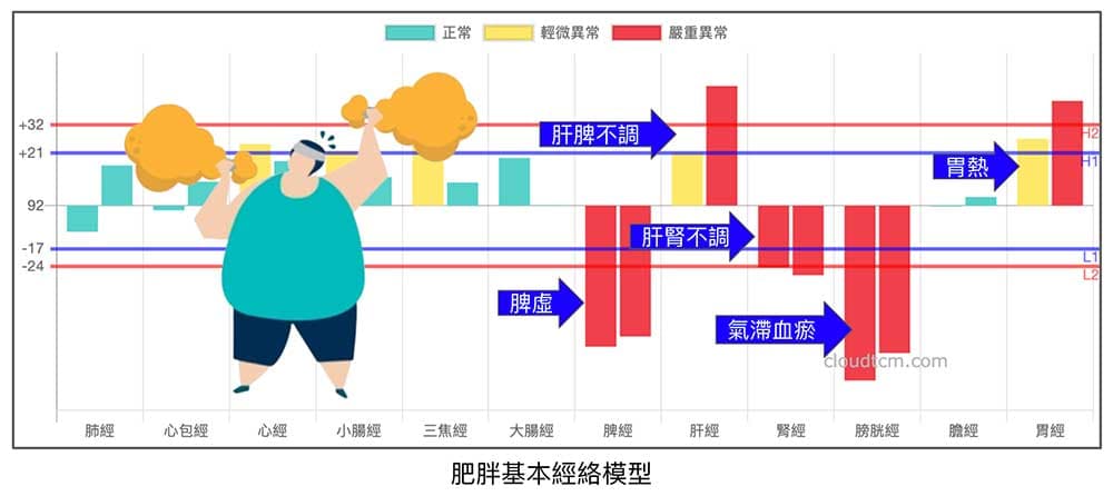 肥胖的經絡模型