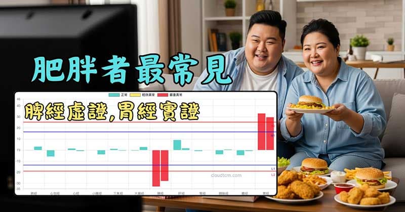 現代肥胖者高機率脾經虛證、胃經實證