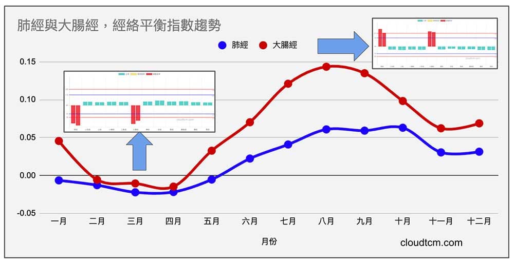 肺經與大腸經能量趨勢，在一年四季中幾乎是一致的