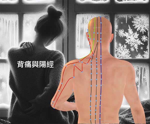 人體的背痛主要受到太陽經影響