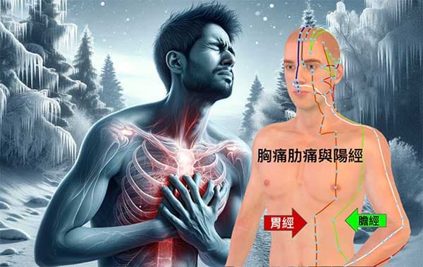 人體的胸痛肋痛主要受到膽經胃經影響