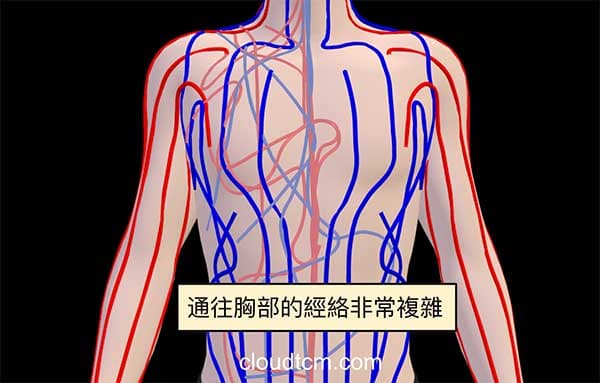通往胸部的經絡，其實非常複雜