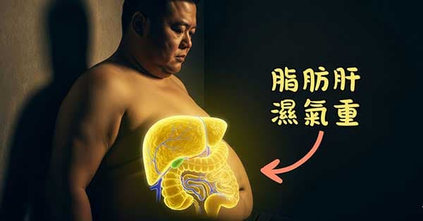 現代人肥胖及脂肪肝與濕氣息息相關