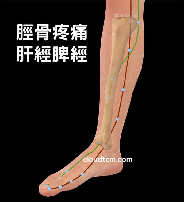 肝經脾經異常會出現脛骨疼痛