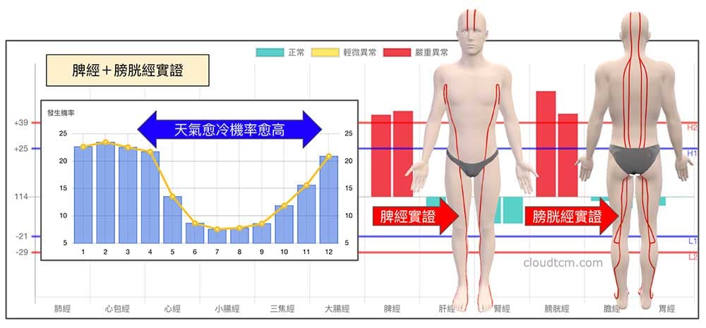 脾經與膀胱經出現實證的機率與3D呈現