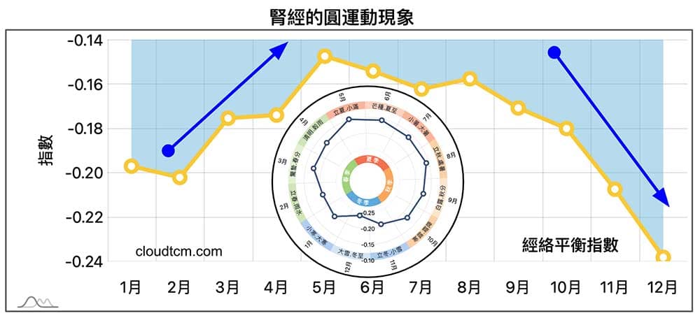 腎經的圓運動現象