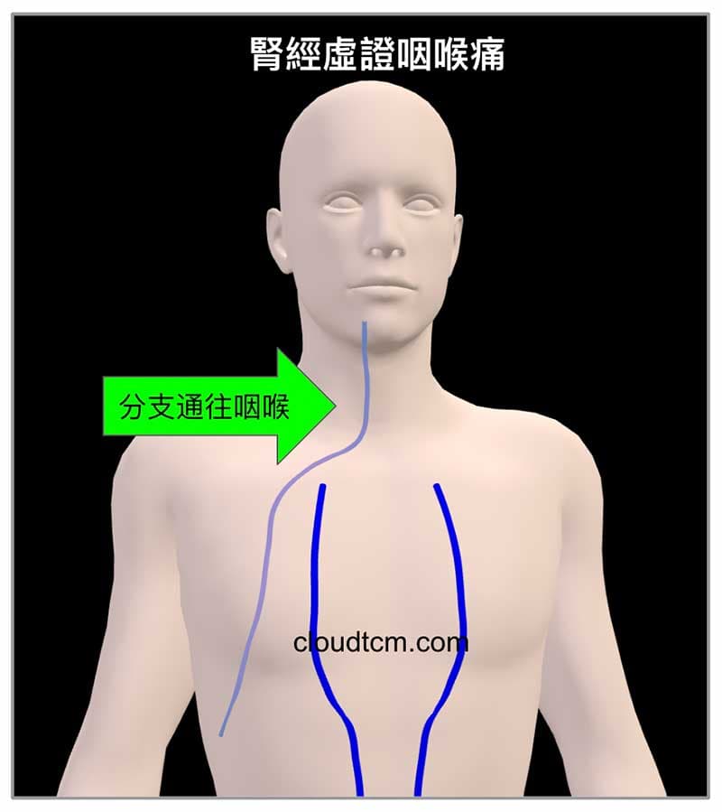 腎經通往咽喉部，虛證容易喉嚨痛