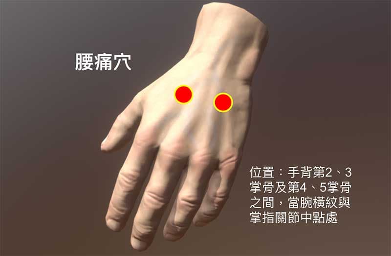 手背改善腰痛的神奇穴道