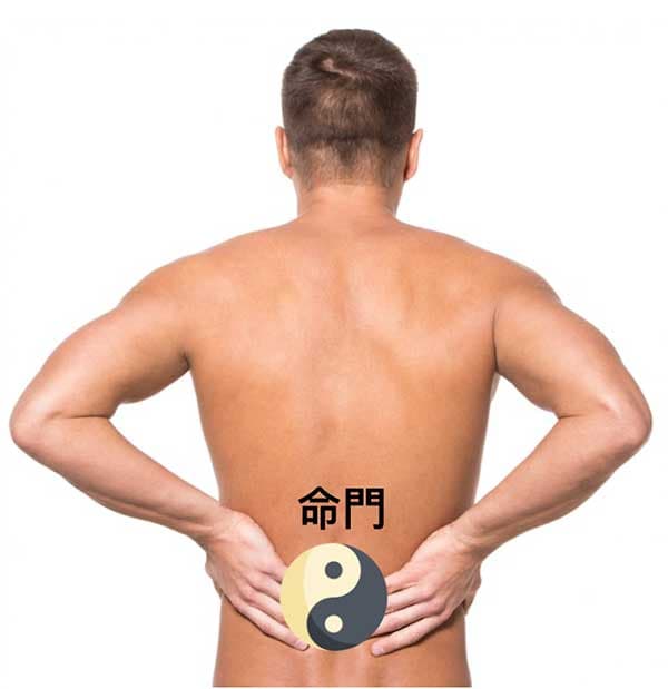 人體的腰部存在一個神秘的命門