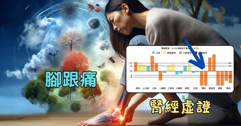 腎經虛證時，高機率出現腳跟痛