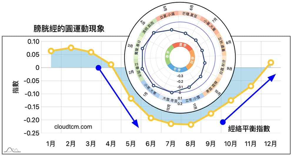 膀胱經的圓運動現象