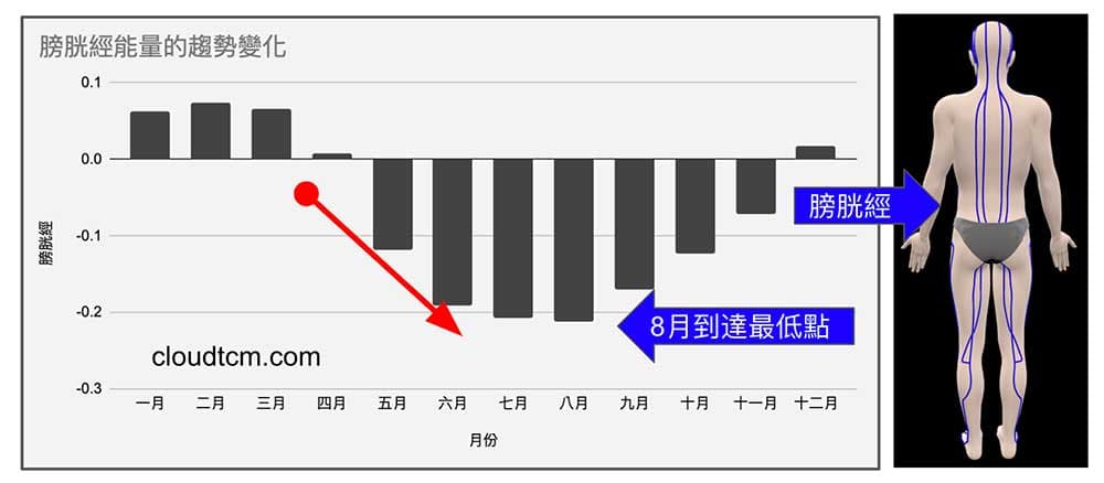 膀胱經的能量在8月時到達最低點