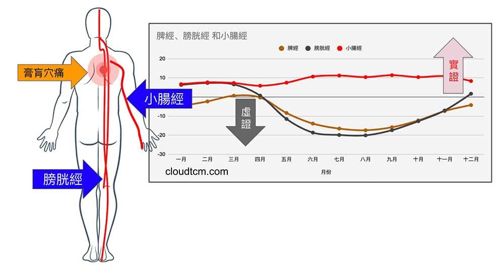 膏肓痛與脾經、小腸經與膀胱經密切相關