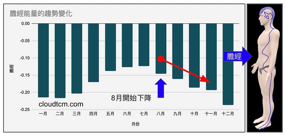 膽經從每年8月開始能量下降