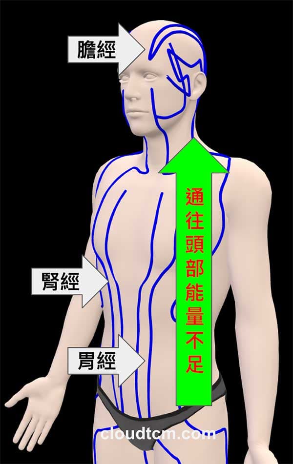膽胃經虛證與頭部的關係