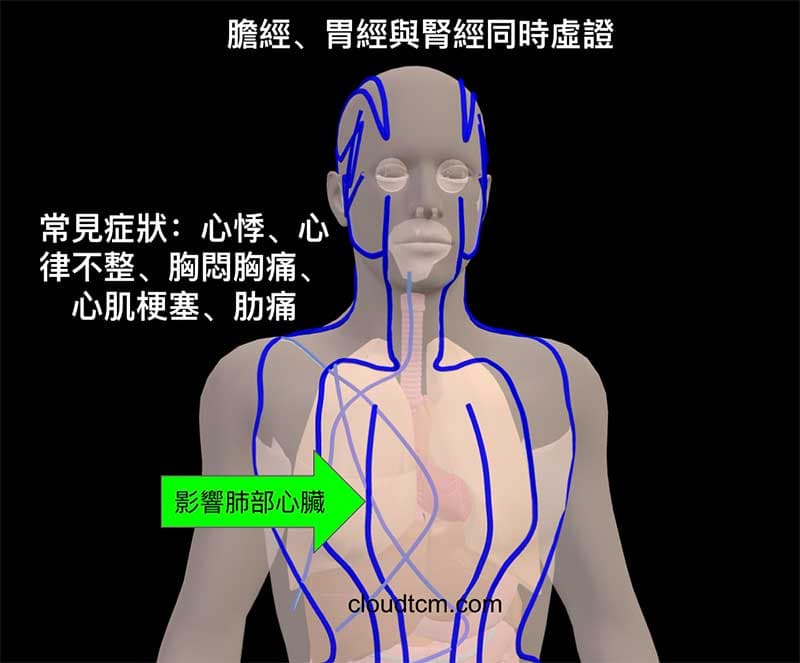 膽經、胃經與腎經虛證容易出現肺部、心臟疾病