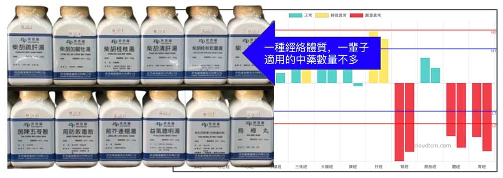 經絡體質與中藥