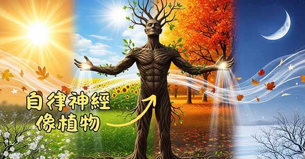 自律神經的運作就像植物，主要受到「光線」與「溫度」的影響