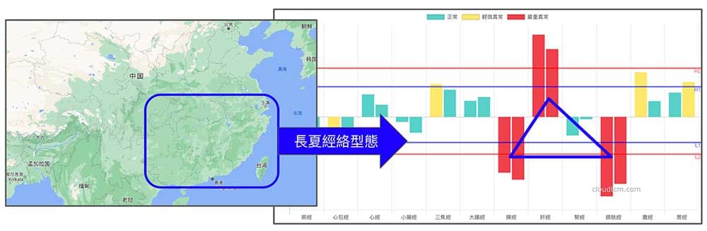 長夏經絡型態，以脾經與膀胱經虛證為主