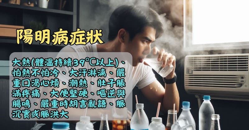 陽明病症狀呈現大熱、大汗、大煩渴