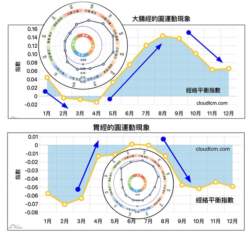 北半球人類陽明經的圓運動現象