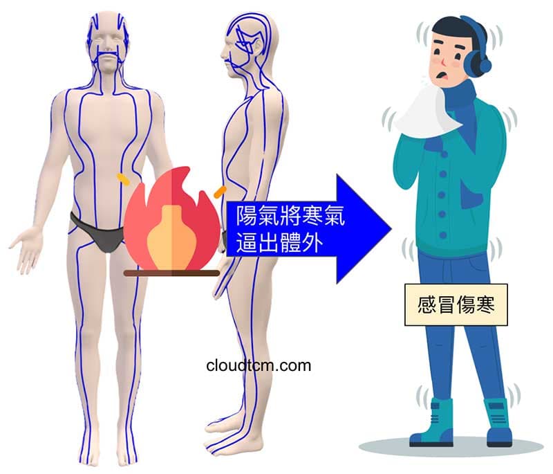 陽氣將體內的寒氣逼出體外形成傷寒