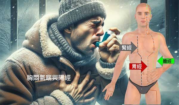 人體的胸部在冬季受到膽經、胃經、腎經影響