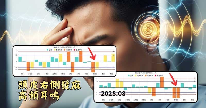 頭皮右側發麻的經絡型態