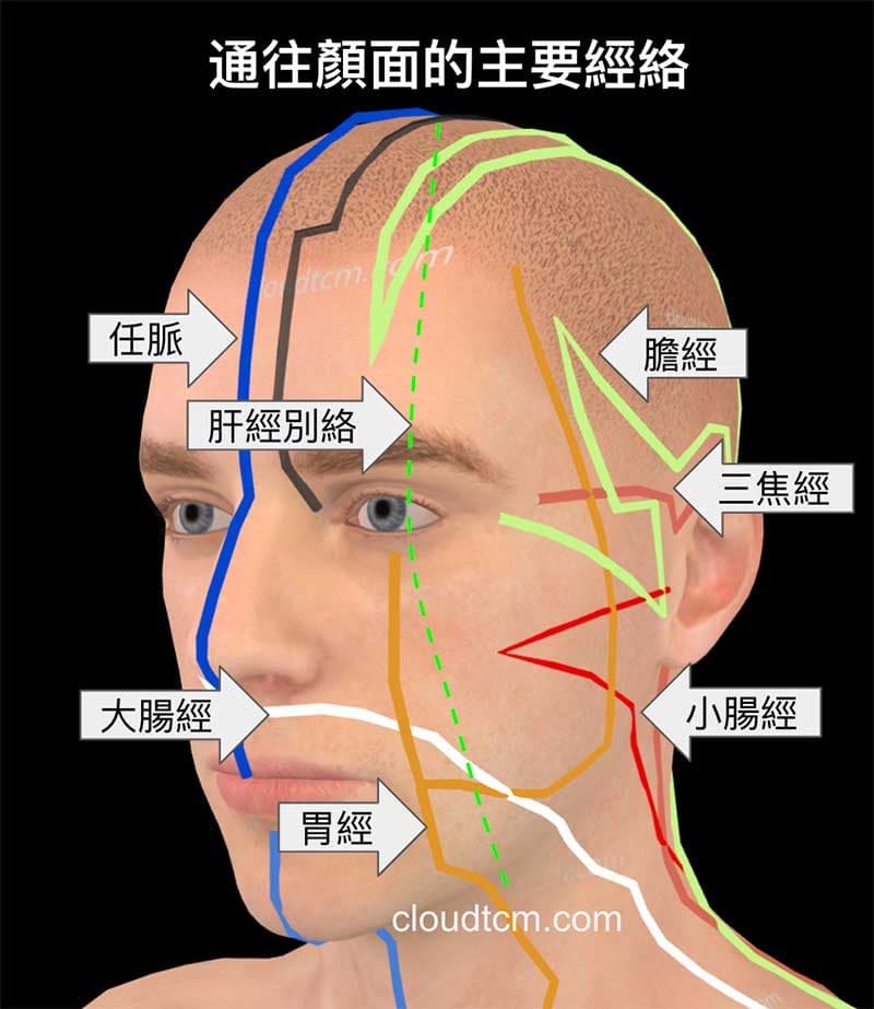 通往顏面部位的經絡非常多