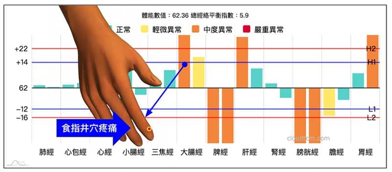 大腸經實證時，食指井穴附近容易出現疼痛