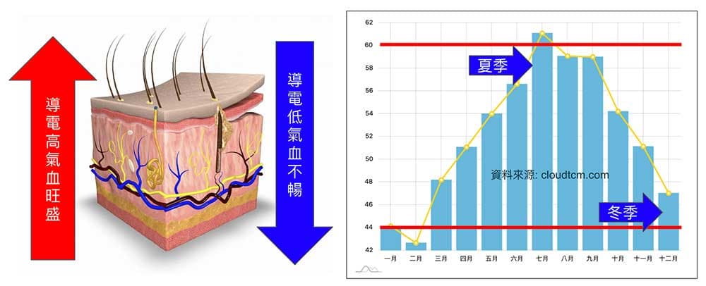 多數人的體能數值介於40-60之間