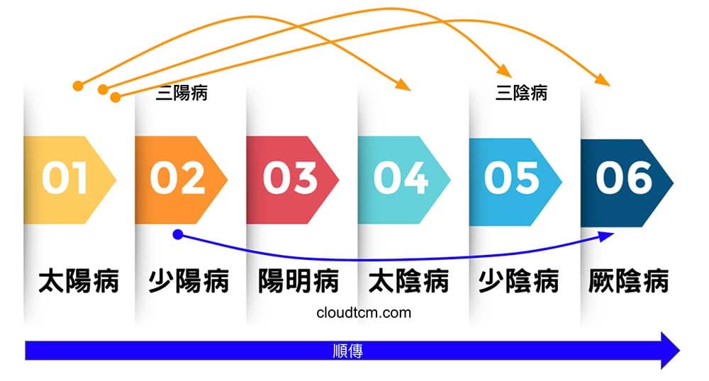 太陽病順傳時，最後很容易進入少陰病