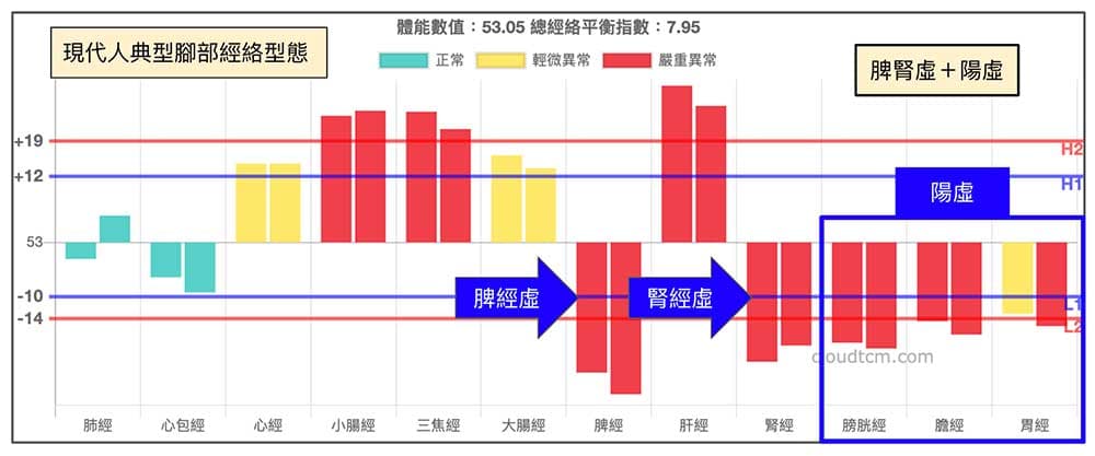 現代人的典型體質，就是脾腎陽虛的經絡型態