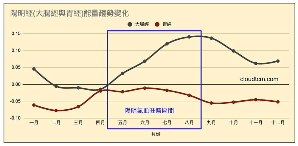 陽明經在每年5-8月期間經絡氣血最旺盛