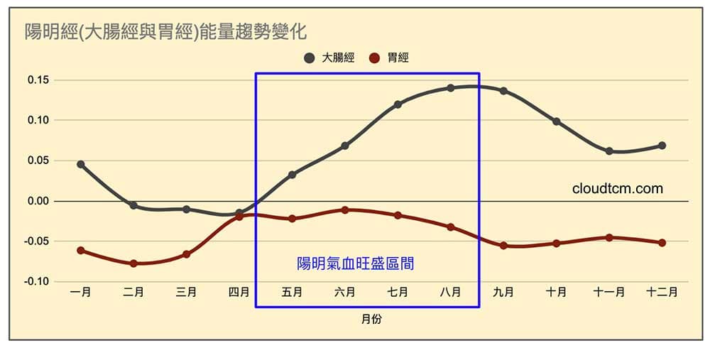 陽明經在每年5-8月期間經絡氣血最旺盛