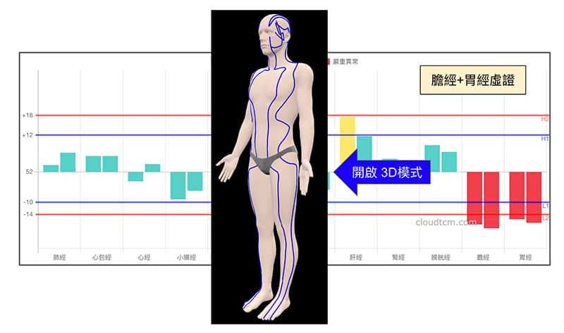 嚴重虛證經絡以藍色經絡路線顯示