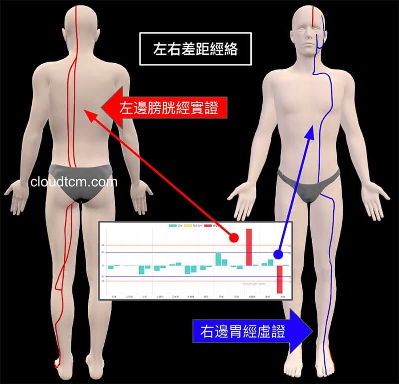 開啟3D模式，快速理解左右差距經絡