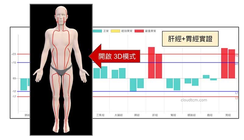 嚴重實證經絡以紅色經絡路線顯示