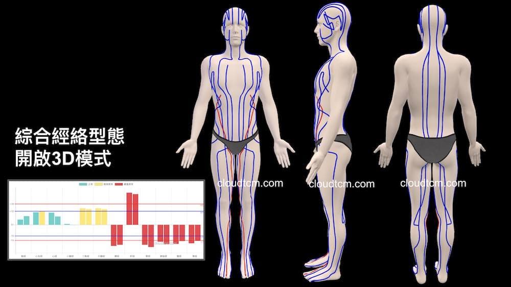 以3D模式呈現初秋常見的經絡型態