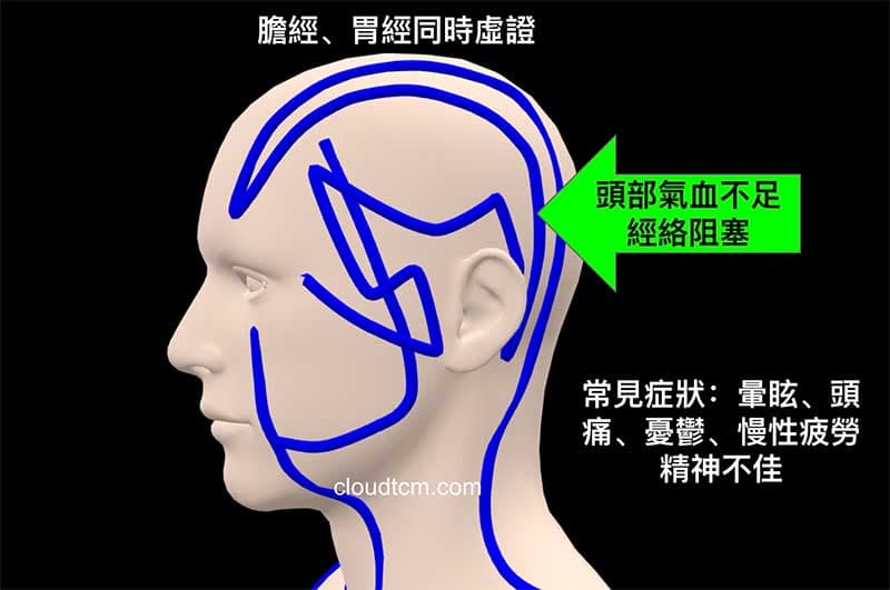 膽經與胃經通往整個頭部正面與側面