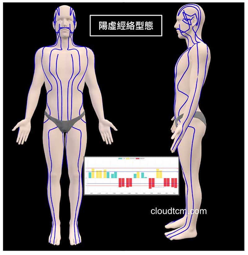 冬季常見的陽虛經絡型態開啟3D模式
