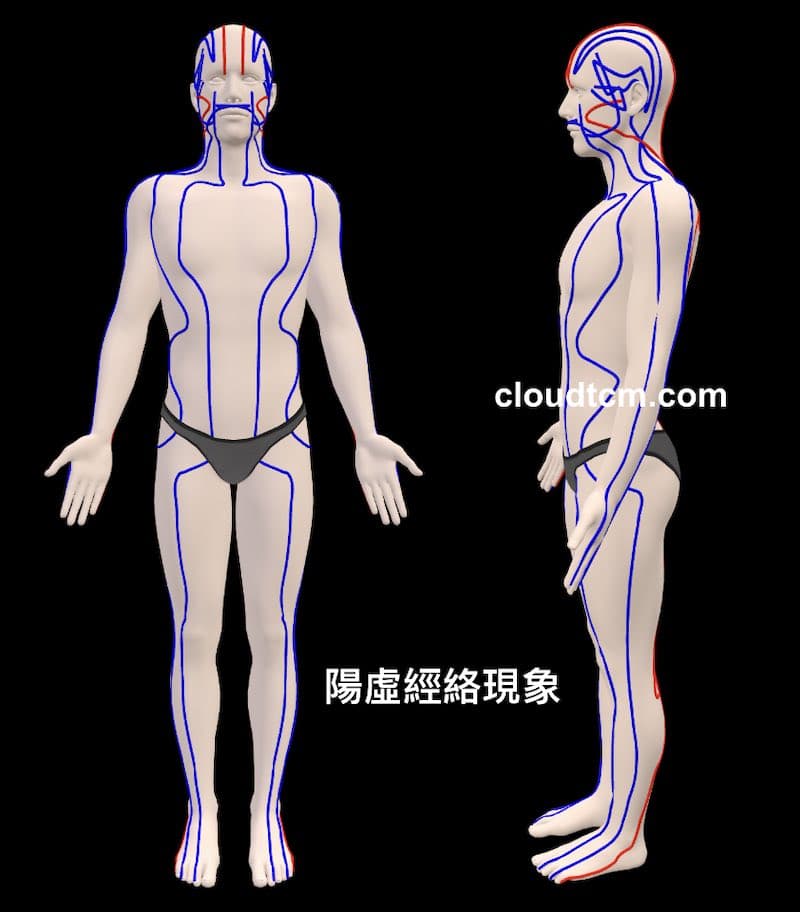 透過3D模型來理解陽虛經絡現象