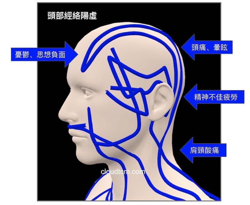 少陽經與陽明經虛證時的頭部3D狀態