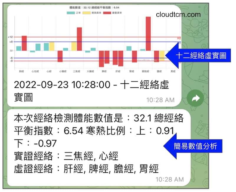 檢測後Telegram 立即收到經絡檢測圖