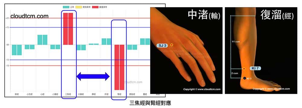 多數人三焦經長年實證，腎經呈現虛證