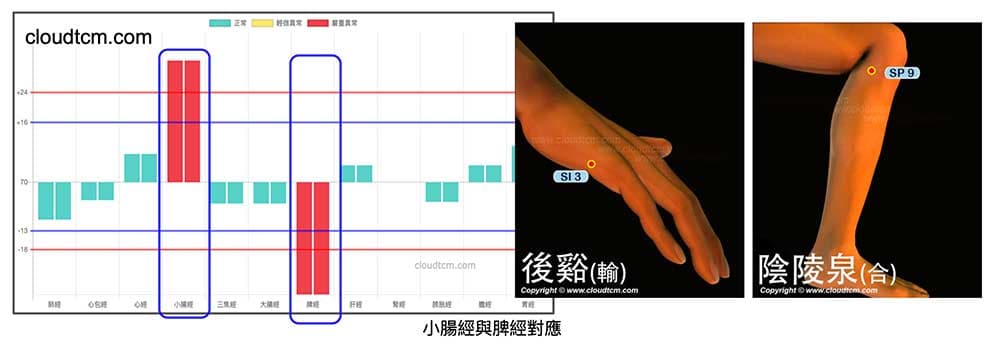 多數人一年四季小腸經能量變化多端，脾經長期呈現虛證